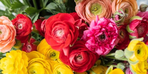 wedding budget mistake to avoid not researching vendors floral arrangement